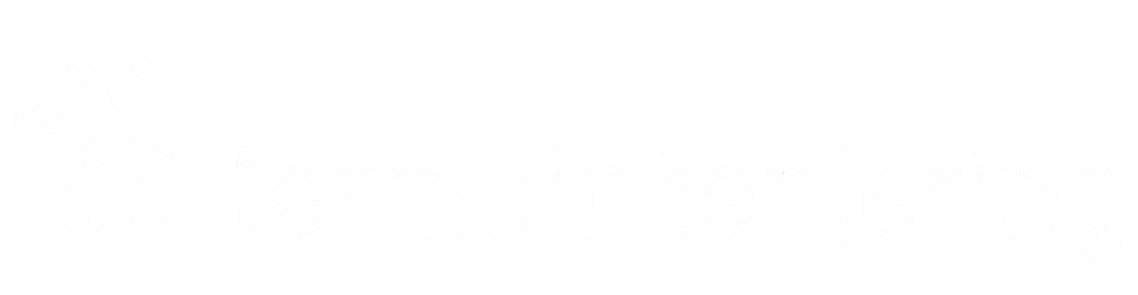 Termoinženjering logo — client of Hristina Stojiljković