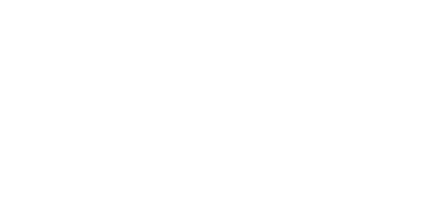 VISA logo — client of Hristina Stojiljković